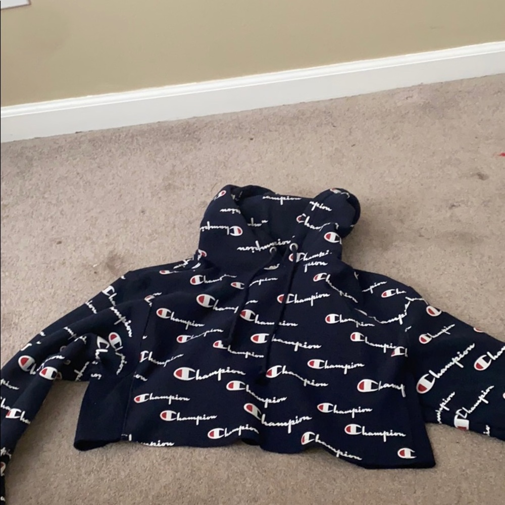 Champion crop hoodie